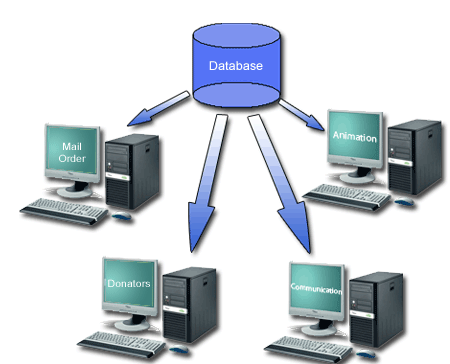 Database management